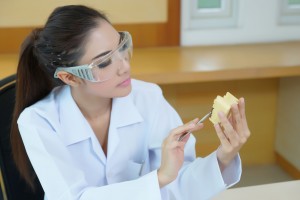 Cosmetic dentist inspects model for dental implant services